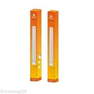 Tneon 2100 kwitnienie 55W