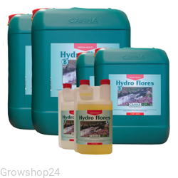 hydro flores canna.png
