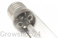 lamp2.jpg