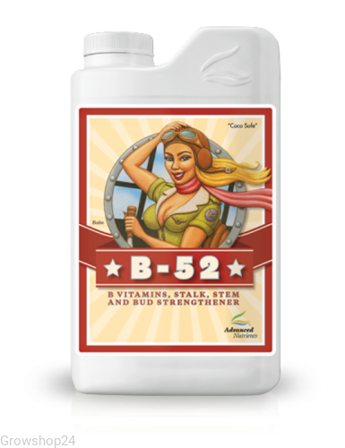 pol_pl_Advanced-Nutrients-B-52-mieszanka-witaminowa-1764_2.png