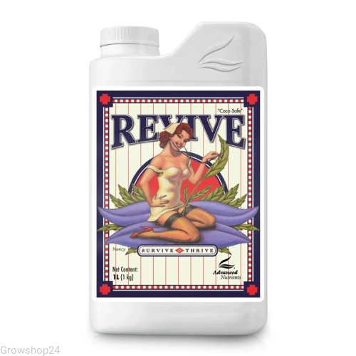 revive.webp