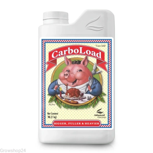 carboload.webp