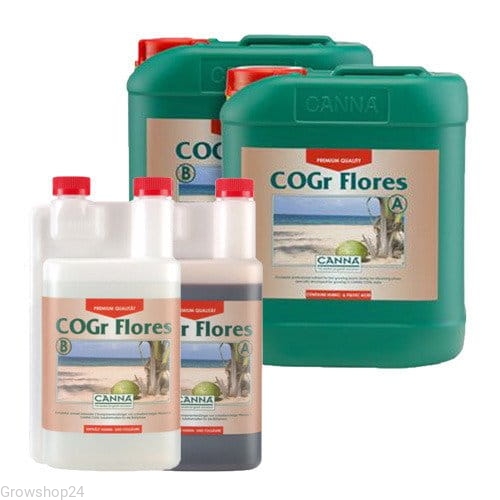 cogr flores.jpg