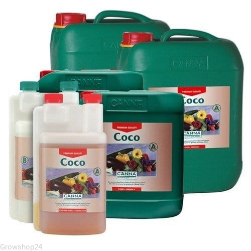 coco.jpg