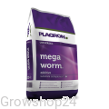 worm1.jpg