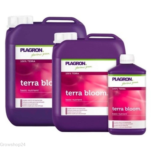 terraBLOOM.jpg