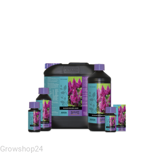 ATAMI B'CUZZ BLOSSOM BUILDER - ZWIĘKSZA MASĘ KWIATÓW 