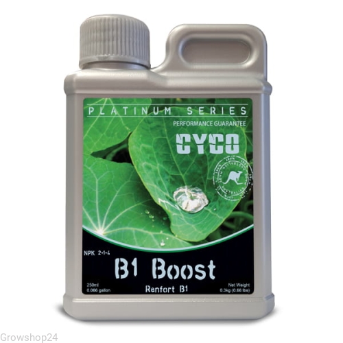 cyco boost.jpg