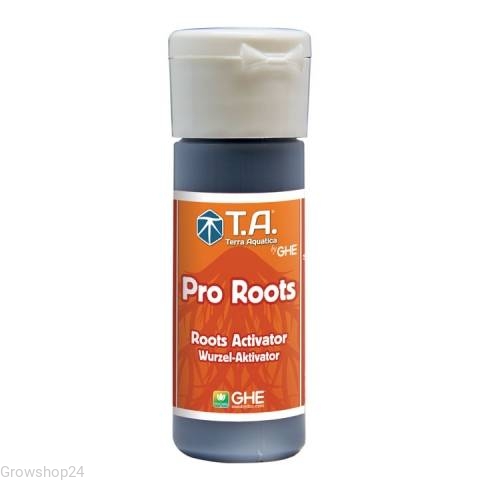 root.jpg