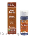 root2.jpg