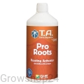 root3.jpg