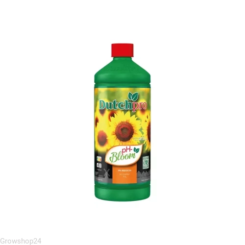 bloom.jpg