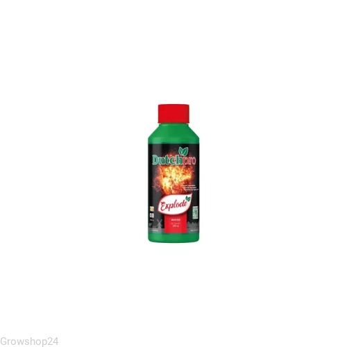 explode.webp