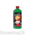 explode1.webp