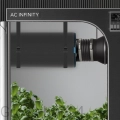 8.webp