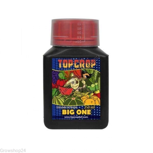 topcroBIG.webp