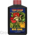 topcroBIG1.webp