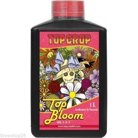 bloom.webp