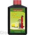 lemon1.webp
