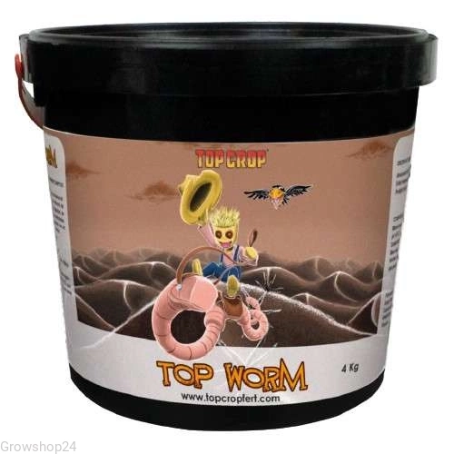 worm.webp