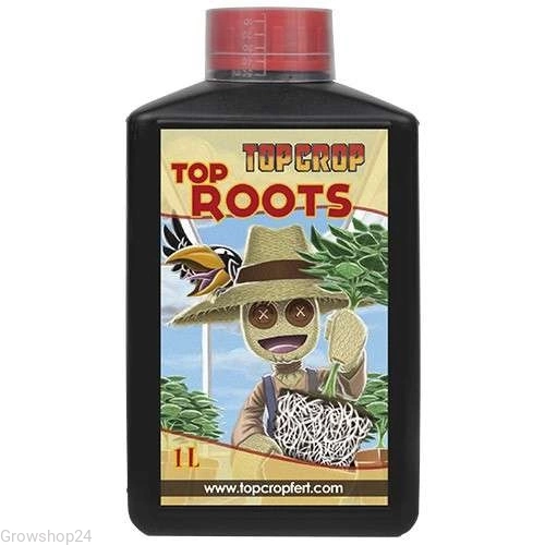 roots.webp