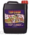 candy1.webp