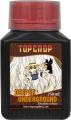 deeper.webp