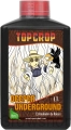 deper12.webp