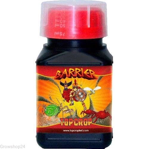 barier.webp