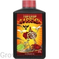 barier2.webp