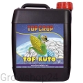 auto2.webp