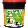 micro3.webp
