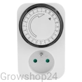 d13.webp