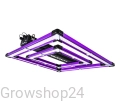 e6.webp