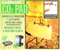 e12.webp