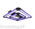 H3.webp