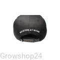 snapback-dutch-passion (2).webp