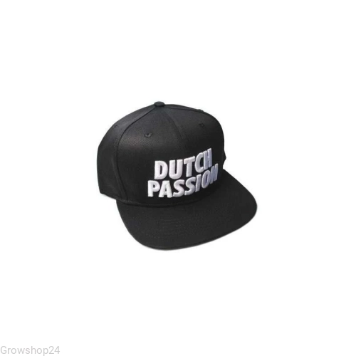 snapback-dutch-passion.webp