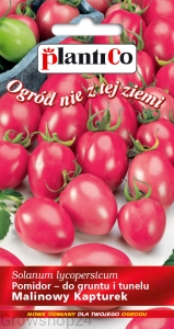 Pomidor gruntowy wysoki MALINOWY KAPTUREK 0,2g.