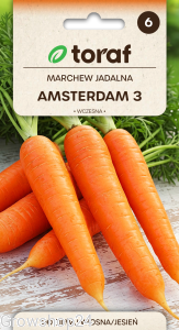 Marchew jadalna AMSTERDAM 3 (wczesna)