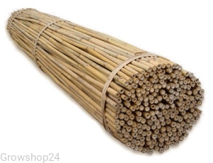 Tyczki bambusowe 10szt. 90cm