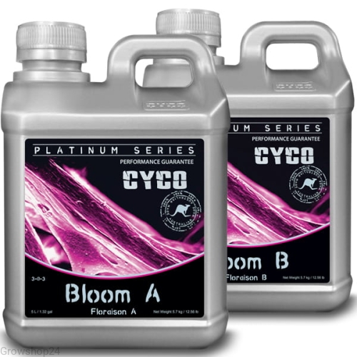 CYCO BLOOM AiB.jpg