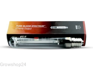 GIB PURE BLOOM SPECTRUM XTREME 600W