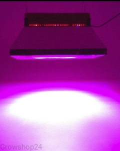 Phytolite GX400 - odbłyśnik koncentrujący