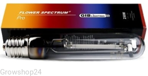 GIB Flower Spectre 150W PRO